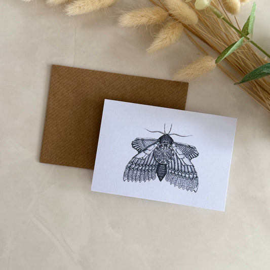 Pack of 5 A7 High Quality Note Cards | Gift Cards - Steam Punk Moth