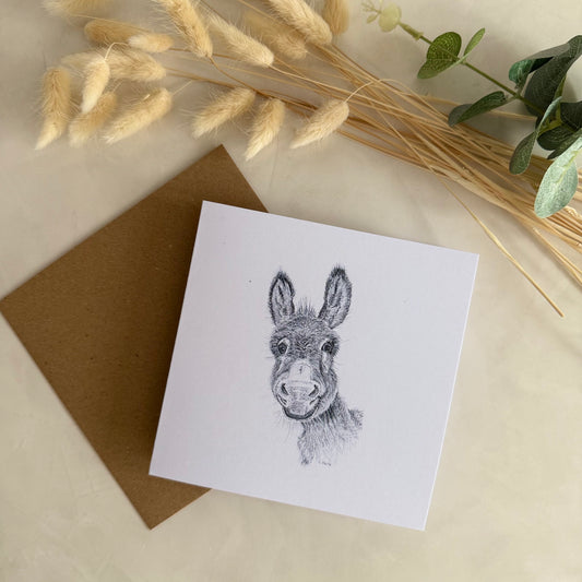 Pack of 5 Square High Quality Greetings Cards - Donkey