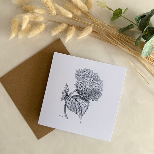 Pack of 5 Square High Quality Greetings Cards - Hydrangea