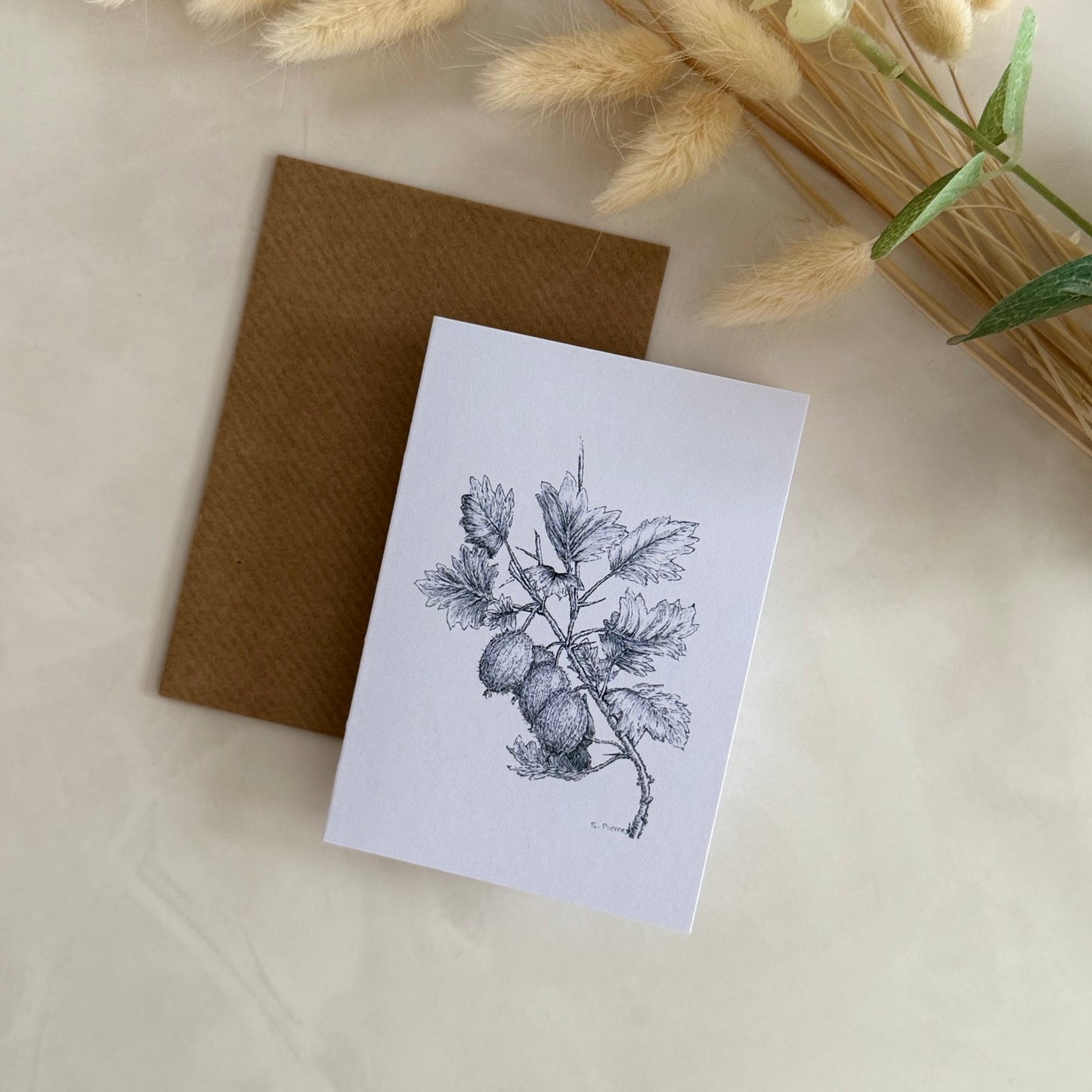 Pack of 5 A7 High Quality Note Cards | Gift Cards - Gooseberry