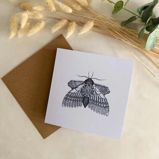 Pack of 5 Square High Quality Greetings Cards - Steam Punk Moth