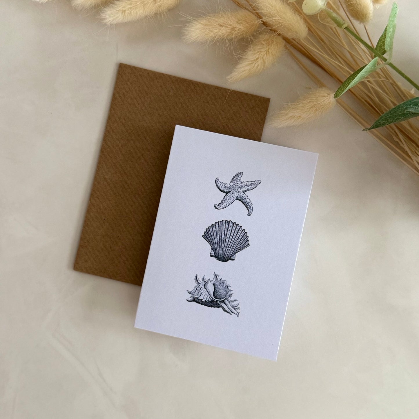 Pack of 5 A7 High Quality Note Cards | Gift Cards - Seashells